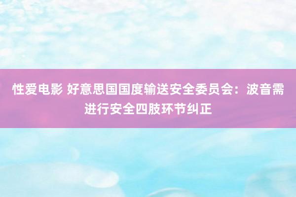 性爱电影 好意思国国度输送安全委员会：波音需进行安全四肢环节纠正