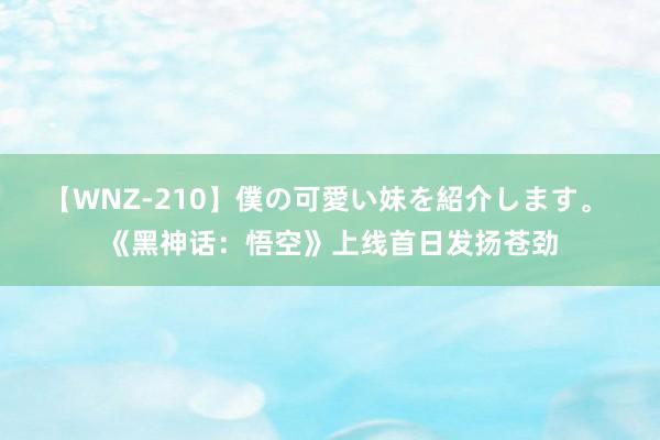 【WNZ-210】僕の可愛い妹を紹介します。 《黑神话：悟空》上线首日发扬苍劲