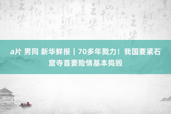 a片 男同 新华鲜报｜70多年戮力！我国要紧石窟寺首要险情基本捣毁