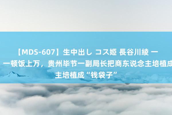 【MDS-607】生中出し コス姫 長谷川綾 一瓶酒几千、一顿饭上万，贵州毕节一副局长把商东说念主培植成“钱袋子”