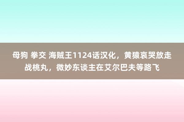 母狗 拳交 海贼王1124话汉化，黄猿哀哭放走战桃丸，微妙东谈主在艾尔巴夫等路飞