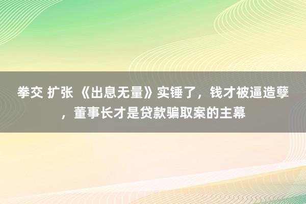 拳交 扩张 《出息无量》实锤了，钱才被逼造孽，董事长才是贷款骗取案的主幕