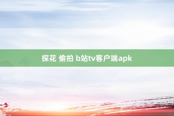 探花 偷拍 b站tv客户端apk