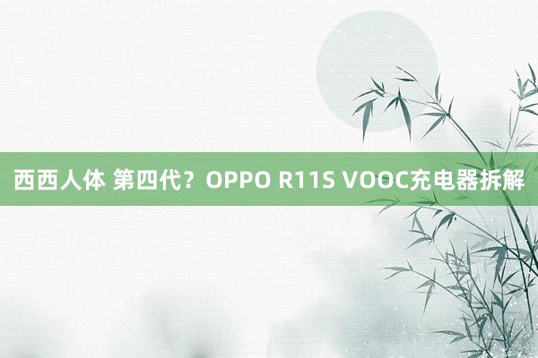 西西人体 第四代？OPPO R11S VOOC充电器拆解