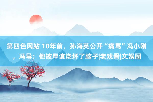 第四色网站 10年前，孙海英公开“痛骂”冯小刚，冯导：他被厚谊烧坏了脑子|老戏骨|文娱圈