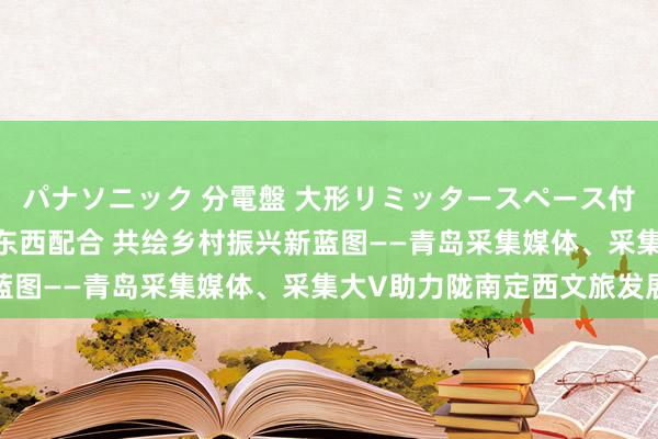 パナソニック 分電盤 大形リミッタースペース付 露出・半埋込両用形 东西配合 共绘乡村振兴新蓝图——青岛采集媒体、采集大V助力陇南定西文旅发展