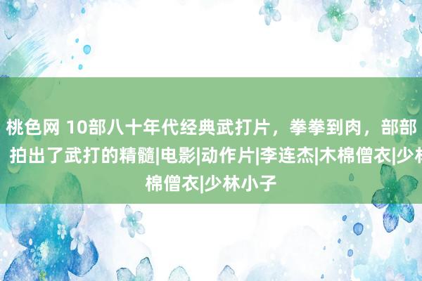 桃色网 10部八十年代经典武打片，拳拳到肉，部部精彩，拍出了武打的精髓|电影|动作片|李连杰|木棉僧衣|少林小子