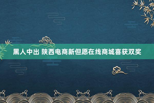 黑人中出 陕西电商新但愿在线商城喜获双奖