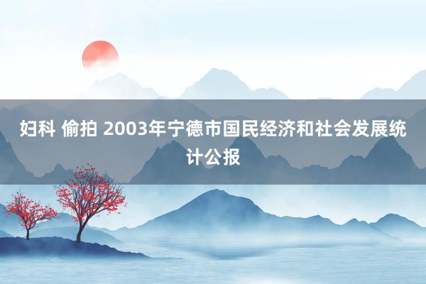 妇科 偷拍 2003年宁德市国民经济和社会发展统计公报