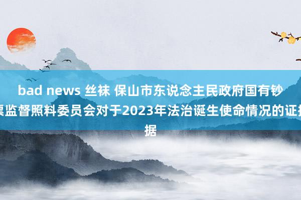 bad news 丝袜 保山市东说念主民政府国有钞票监督照料委员会对于2023年法治诞生使命情况的证据